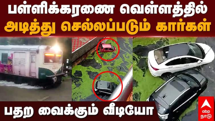 Chennai Flood Cyclone Michaung Cars Washed Away in Flood Water Pallikaranai Streets Watch Viral Video Watch Video: மிதக்கும் சென்னை: வெள்ளத்தில் அடித்துச் செல்லப்படும் கார்கள்- அதிர்ச்சி காட்சிகள்!