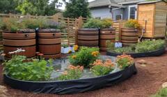 Agriculture: ਘੱਟ ਥਾਂ ‘ਚ ਲਾਓ ਤਰ੍ਹਾਂ-ਤਰ੍ਹਾਂ ਦੀਆਂ ਸਬਜ਼ੀਆਂ, ਜਾਣੋ ਲਾਉਣ ਦਾ ਤਰੀਕਾ