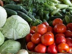 Vegetables cultivation: ਸਰਦੀਆਂ ਦੇ ਮੌਸਮ ‘ਚ ਕਿਸਾਨਾਂ ਨੂੰ ਕਰਨੀ ਚਾਹੀਦੀ ਇਨ੍ਹਾਂ ਸਬਜ਼ੀਆਂ ਦੇ ਖੇਤੀ, ਹੋਵੇਗਾ ਬਹੁਤ ਮੁਨਾਫ਼ਾ