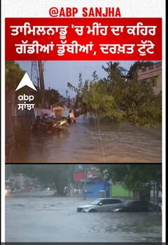 Tamil Nadu 'ਚ ਮੀਂਹ ਦਾ ਕਹਿਰ, ਗੱਡੀਆਂ ਡੁੱਬੀਆਂ, ਦਰਖ਼ਤ ਟੁੱਟੇ