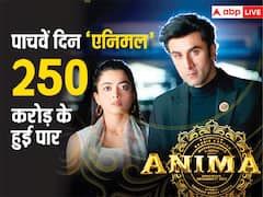 बॉक्स ऑफिस पर तहलका मचा रही ‘एनिमल’, 5वें दिन रणबीर कपूर की फिल्म ने 250 करोड़ का आंकड़ा किया पार! जानें-कलेक्शन