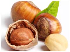 Health Tips: શિયાળામાં ત્રિફળાના સેવનના આ 5 ફાયદા જાણીને તમે પણ ચોંકી જશો