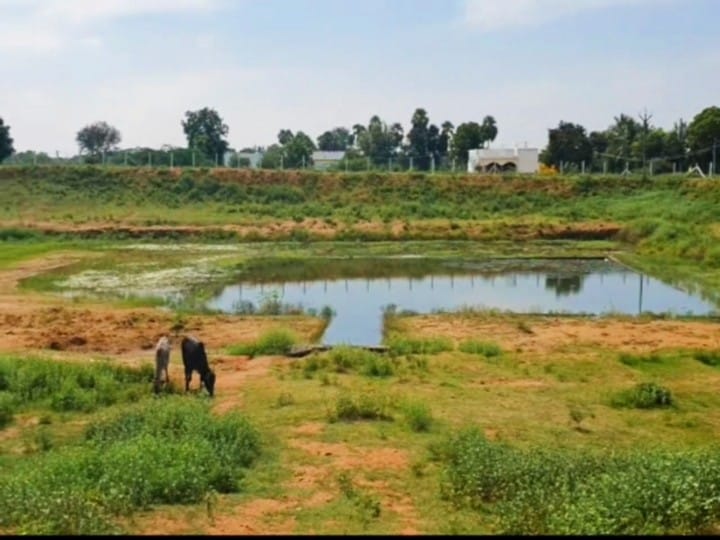 சமூக பாதுகாப்புடைய ஊராட்சியாக அரசனூர் ஊராட்சி தேர்வு  ; விருது வழங்கி மத்திய அரசு அங்கீகாரம்