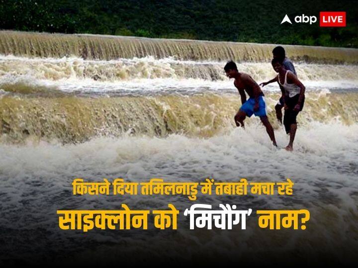 मिचौंग... किस देश का शब्द और क्या है मतलब, जानें कैसे रखा जाता है साइक्लोन का नाम Cyclone Michaung Origin Country How Cyclone Michaung Was Named What It Means मिचौंग... किस देश का शब्द और क्या है मतलब, जानें कैसे रखा जाता है साइक्लोन का नाम
