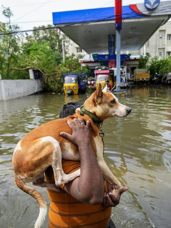 Cyclone Machaung: Inundated Chennai Roads Bring Back Memories Of 2015 Flood