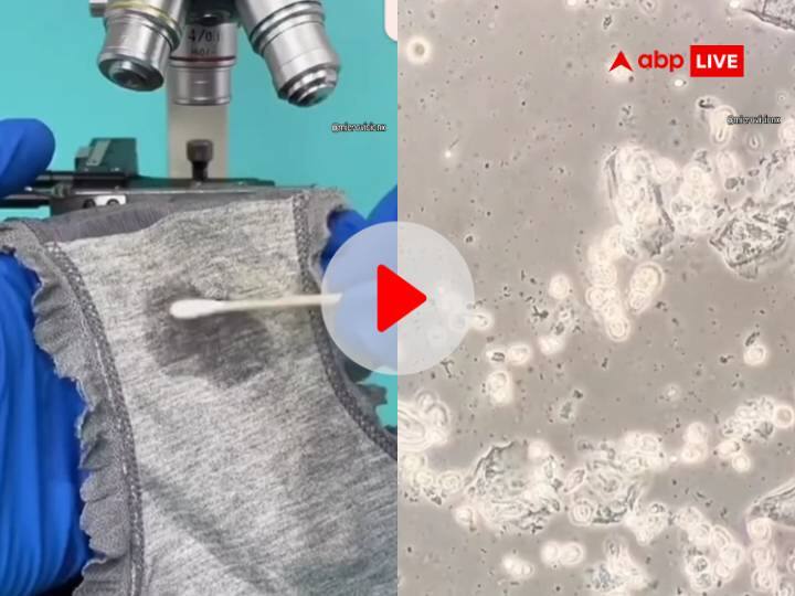 Watch: कई दिनों तक नहीं धोते अंडरवियर तो हो जाएं सावधान! सिर्फ 3 दिनों में फैल जाते हैं इतने कीड़े, देखें असलियत Man unwashed underwear for three days microscope shows several worms watch viral video Watch: कई दिनों तक नहीं धोते अंडरवियर तो हो जाएं सावधान! सिर्फ 3 दिनों में फैल जाते हैं इतने कीड़े, देखें असलियत