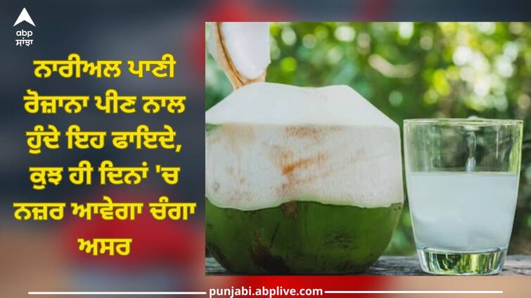 Coconut Water: These benefits are obtained by drinking coconut water daily, good effect will be seen in few days Coconut Water: ਨਾਰੀਅਲ ਪਾਣੀ ਰੋਜ਼ਾਨਾ ਪੀਣ ਨਾਲ ਹੁੰਦੇ ਇਹ ਫਾਇਦੇ, ਕੁਝ ਹੀ ਦਿਨਾਂ 'ਚ ਨਜ਼ਰ ਆਵੇਗਾ ਚੰਗਾ ਅਸਰ