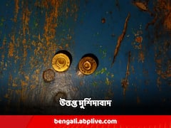 তৃণমূল নেতা ও কাউন্সিলরের বাড়ি লক্ষ্য করে বোমাবাজি, অভিযোগ দলেরই বিরুদ্ধে