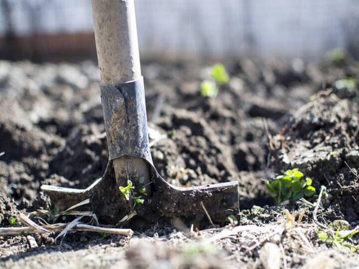 World Soil Day 2023 know what experts said about soil health World Soil Day 2023: मिट्टी को बीमार होने से बचाने के लिए ये काम है जरूरी, एक्सपर्ट ने कही ये बात