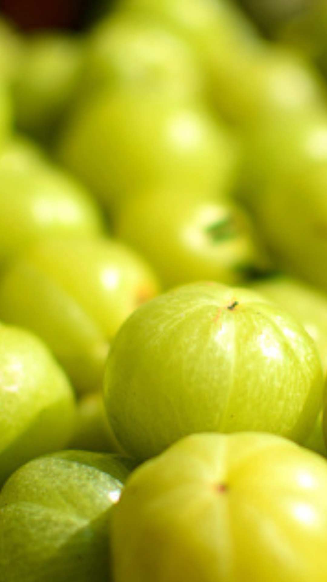 Amla Fruit And Powder In Basket And Bowl For Face Pack Drinks Medicine  Photo Background And Picture For Free Download - Pngtree