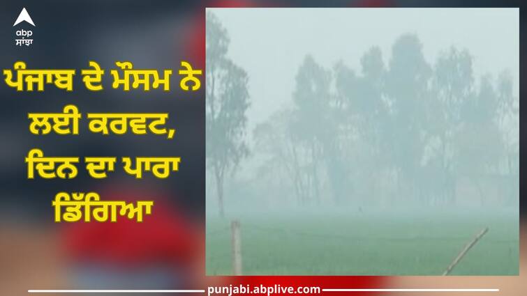 Punjab Weather Update: weather of Punjab took a curve, Cold wave increase in Punjab Punjab Weather Update: ਪੰਜਾਬ ਦੇ ਮੌਸਮ ਨੇ ਲਈ ਕਰਵਟ, ਦਿਨ ਦਾ ਪਾਰਾ ਡਿੱਗਿਆ