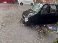 ચક્રવાત મિચોંગે ભારતમાં મચાવ્યો હાહાકાર, તમિલનાડુમાં બેનાં મોત, રસ્તા પર નીકળ્યા મગરમચ્છ, જુઓ PHOTOS