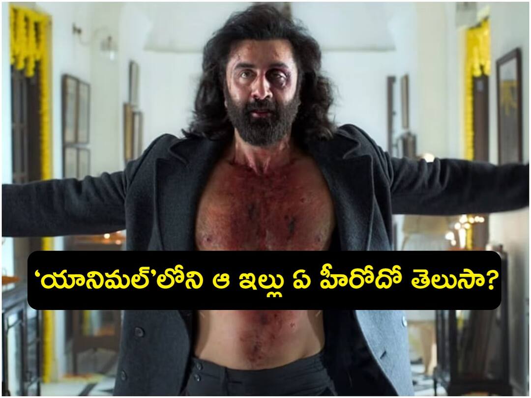 animal shooting was happened in Pataudi Palace which is actually ancestral abode of saif ali khan Animal: ఆ స్టార్ హీరో ఇంట్లో ‘యానిమల్’ మూవీ షూటింగ్ - డీకోడ్ చేసిన నెటిజన్లు!