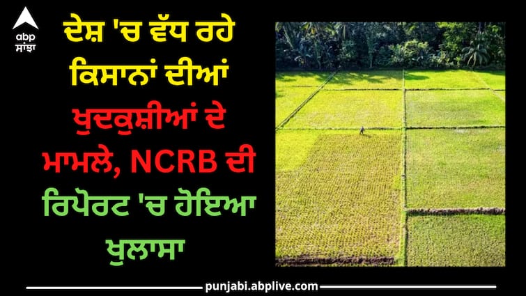 know-how-many-farmers-are-committing-suicide-every-day-in-the-country-ncrb-report-says NCRB: ਦੇਸ਼ 'ਚ ਵੱਧ ਰਹੇ ਕਿਸਾਨਾਂ ਦੀਆਂ ਖੁਦਕੁਸ਼ੀਆਂ ਦੇ ਮਾਮਲੇ, NCRB ਦੀ ਰਿਪੋਰਟ 'ਚ ਹੋਇਆ ਖੁਲਾਸਾ