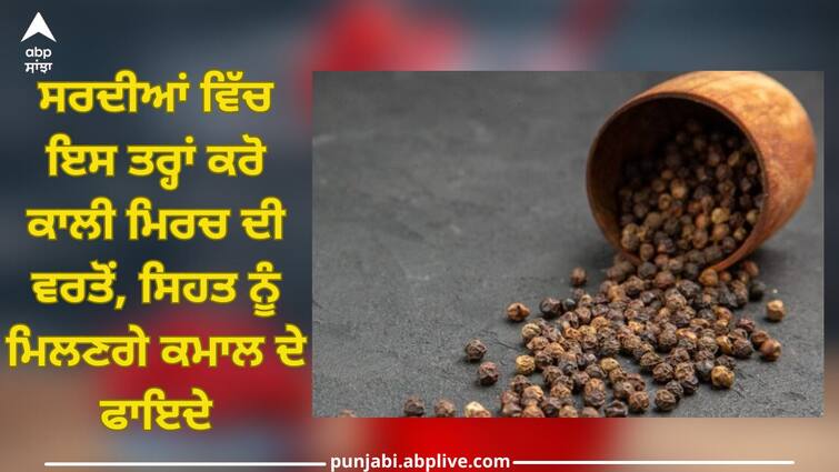 Black Pepper: Use black pepper like this in winter, you will get remarkable health benefits trending news Black Pepper: ਸਰਦੀਆਂ ਵਿੱਚ ਇਸ ਤਰ੍ਹਾਂ ਕਰੋ ਕਾਲੀ ਮਿਰਚ ਦੀ ਵਰਤੋਂ, ਸਿਹਤ ਨੂੰ ਮਿਲਣਗੇ ਕਮਾਲ ਦੇ ਫਾਇਦੇ