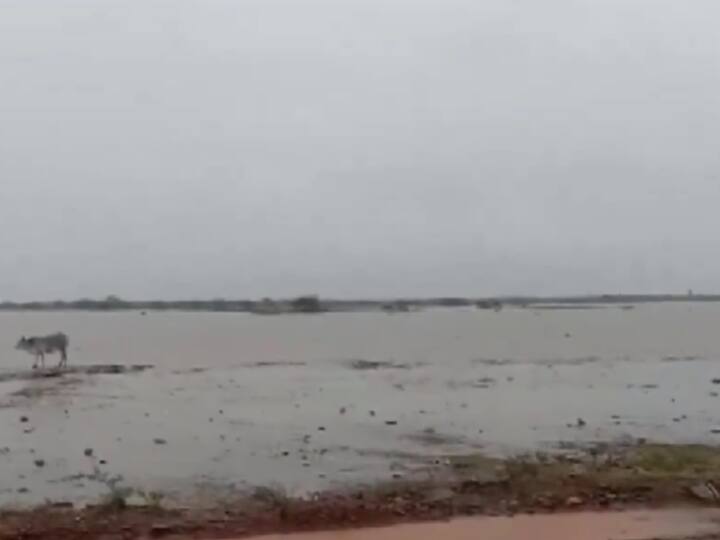 Fields in several parts of Machilipatnam in Krishna district submerged due to rainfall as a result of the severe Cyclonic Storm Michaung. (Source: ANI)