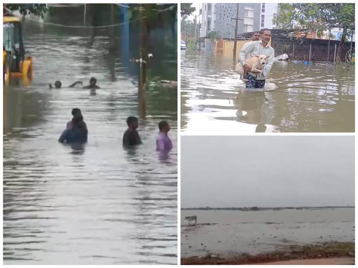 Heavy rain continues to lash several parts of Andhra Pradesh as the severe cyclonic storm ‘Michaung’ looming over the Bay of Bengal sea is moving closer by the hour to its landfall area.