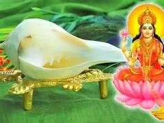 Utpanna Ekadashi 2023: उत्पन्ना एकादशी पर करें शंख का ये उपाय, खिंचा चला आएगा धन