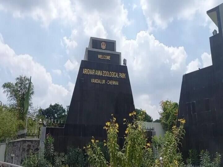 Rain damage: Announcement that Vandalur Zoo will not function tomorrow dec 6th மழை பாதிப்பு: வண்டலூர் பூங்கா நாளை இயங்காது என அறிவிப்பு