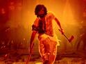 Animal Box Office Collection Day 4: Ranbir Kapoor-Starrer Is Set To Surpass Rs 250 Crore Mark In India Animal Box Office Collection Day 4: Ranbir Kapoor-Starrer Is Set To Surpass Rs 250 Crore Mark In India