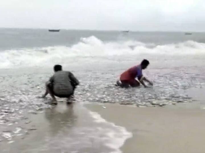 People collect fish washed ashore by sea waves owing to Cyclone Michaung, in Visakhapatnam on Tuesday. (Source: PTI)