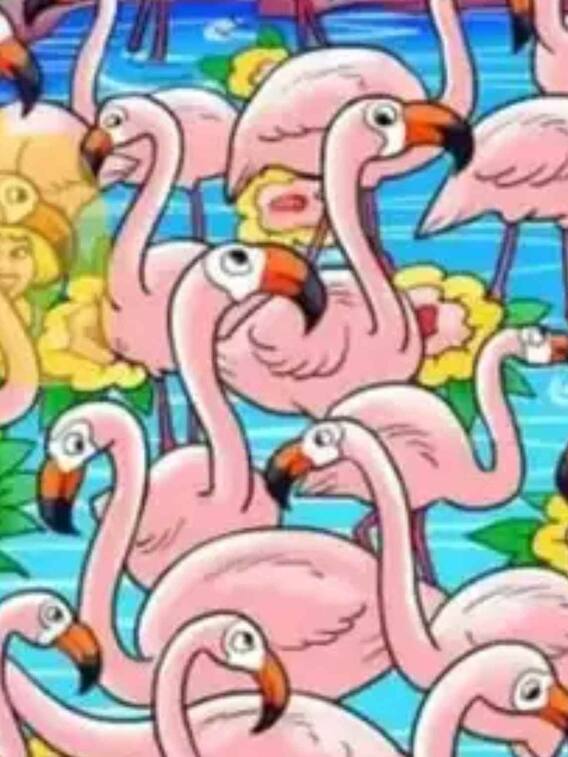 तस्वीर में छिपी लड़की क्या 10 सेकेंड में ढूंढ पाएंगे?