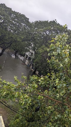 Michaung Cyclone Effects : சின்னாபின்னமான திமுக கோட்டை.. மிக்ஜாம் புயல் செய்த வேலையை பார்த்தீங்களா?