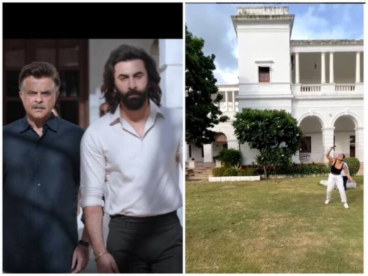 Actor Ranbir Kapoor starrer Sandeep Reddy Vanga Directed House In Animal Is Actually Saif Ali Khan's Pataudi Palace Bollywood Update: জানেন কি? 'অ্যানিম্যাল' ছবিতে রণবীর কপূরের বিশাল বাড়ি আসলে সইফে 'দ্য পতৌদি প্যালেস'!