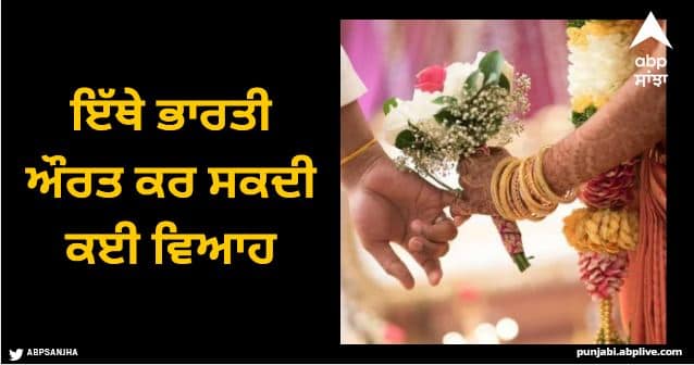 Indian tribe where woman can marry with brothers of same family spends time together Viral News: ਇੱਥੇ ਭਾਰਤੀ ਔਰਤ ਕਰ ਸਕਦੀ ਕਈ ਵਿਆਹ, ਇਕੱਠੇ ਰਹਿੰਦੇ ਸਾਰੇ ਪਤੀ, ਇੱਕ ਦੂਜੇ ਦੇ ਬੱਚਿਆਂ ਦੀ ਕਰਦੇ ਦੇਖਭਾਲ