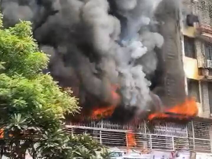 Mumbai Girgaon Fire Police Recover two dead bodies of Mother and son Gomti Bhawan Building Ranganekar Road Mumbai Girgaon Fire: आग में फंसी मां को छोड़कर बेटे ने जाने से किया इनकार, फिर जो हुआ वह आपकी आंखों में ला देगा आंसू