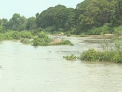 தாமிரபரணியில் பாய்ந்தோடும் வெள்ளப்பெருக்கு அழகிய காட்சிகள் இதோ உங்களுக்காக!