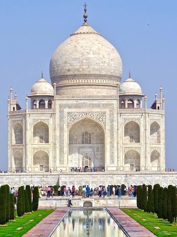 ये कीड़ा ताजमहल की दीवारों का रंग बदल रहा, जानिए कैसे