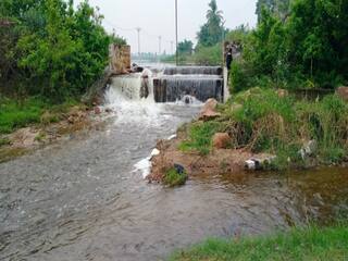 michaung cyclone changed the farmers of Tiruvannamalai district TNN திருவண்ணாமலை மாவட்ட விவசாயிகளை ஏமாற்றிய மிக்ஜாம் புயல்