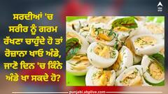 Eggs In Winter: ਸਰਦੀਆਂ 'ਚ ਸਰੀਰ ਨੂੰ ਗਰਮ ਰੱਖਣਾ ਚਾਹੁੰਦੇ ਹੋ ਤਾਂ ਰੋਜ਼ਾਨਾ ਖਾਓ ਅੰਡੇ, ਜਾਣੋ ਦਿਨ 'ਚ ਕਿੰਨੇ ਅੰਡੇ ਖਾ ਸਕਦੇ ਹੋ?