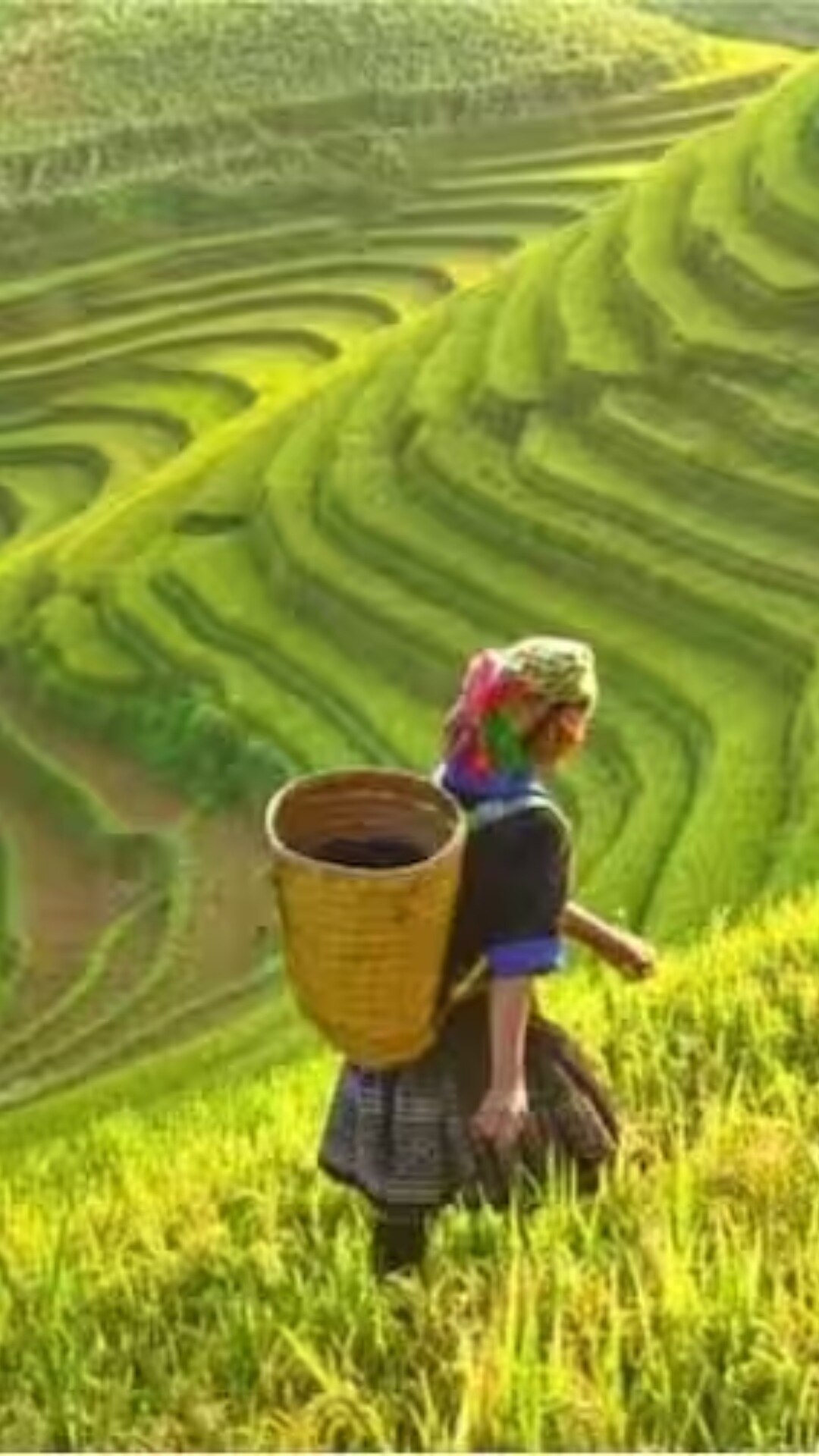 सरकार पीएम किसान सम्मान निधि की किस्त बढ़ाने पर विचार कर रही है