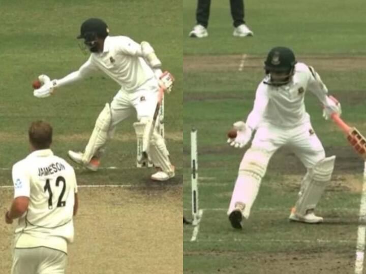 BAN vs NZ 2nd Test Mushfiqur Rahim becomes the first Bangladesh cricketer to be out for handling the ball Watch: टेस्ट क्रिकेट में इस तरह आउट होने वाले पहले बल्लेबाज बने मुशफिकुर रहीम, वीडियो में देखें कैसे गंवाया विकेट