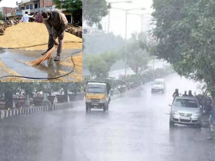 Michaung Cyclone effect on Telangana heavy rainfall recorded in some districts latest telugu news updates Michaung Cyclone Effect On Telangana: తెలంగాణపై మిగ్‌జాం ప్రభావం- రికార్డుస్థాయిలో వర్షాలు- నేడూ జల్లులు