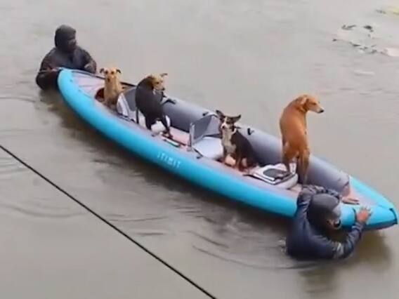 Chennai Rains Cyclone Effects : భారీవర్షాలతో నీట మునిగిన చెన్నై నగరం | ABP Desam