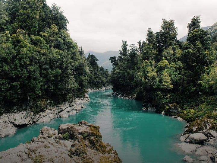 पानी के बिना धरती पर जीवन की कल्पना नहीं कर सकते. बिना पानी के हमारी पूरी दिनचर्या पर भी फर्क पड़ता है. आपने सुना होगा की भारत के बहुत से शहरों में भूमिगत जल खत्म हो गया है या खत्म होने के कगार पर है. हमारे देश में पीने के पानी की जरूरत का बड़ा हिस्सा नदियों के पानी से पूरा होता है. धरती पर नदियों के किनारे ही दुनिया की महान सभ्यताएं विकसित हुईं.