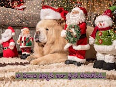 క్రిస్టియన్స్ మాత్రమే కాదు క్రిస్మస్ కి మీరూ ఇలా ప్లాన్ చేసుకోవచ్చు!