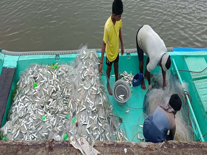 8 நாட்களுக்குப் பிறகு கடலுக்கு சென்ற நாகை மீனவர்கள்