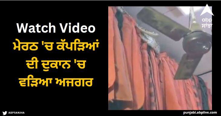 snake rescue video in meerut goes viral rescue team helped to get it out watch snake viral video Viral Video: ਮੇਰਠ 'ਚ ਕੱਪੜਿਆਂ ਦੀ ਦੁਕਾਨ 'ਚ ਵੜਿਆ ਅਜਗਰ, ਲੋਕਾਂ 'ਚ ਦਹਿਸ਼ਤ, ਸਾਹਮਣੇ ਆਇਆ ਖੌਫਨਾਕ ਵੀਡੀਓ