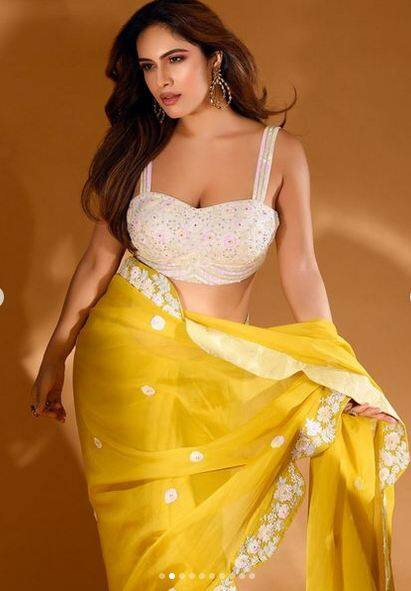 ਨੇਹਾ ਮਲਿਕ ਦਾ ਹਰ ਸਟਾਈਲ ਬਹੁਤ ਪਸੰਦ ਕੀਤਾ ਜਾਂਦਾ ਹੈ ਅਤੇ ਉਹ ਆਪਣੀ ਅਦਾਕਾਰੀ ਤੋਂ ਜ਼ਿਆਦਾ ਆਪਣੇ ਲੁੱਕ ਲਈ ਚਰਚਾ ਦਾ ਵਿਸ਼ਾ ਬਣੀ ਰਹਿੰਦੀ ਹੈ। ਉਸ ਦੀ ਤਸਵੀਰਾਂ ਵੀ ਹਰ ਰੋਜ਼ ਸੋਸ਼ਲ ਮੀਡੀਆ 'ਤੇ ਵਾਇਰਲ ਹੁੰਦੀਆਂ ਰਹਿੰਦੀਆਂ ਹਨ।