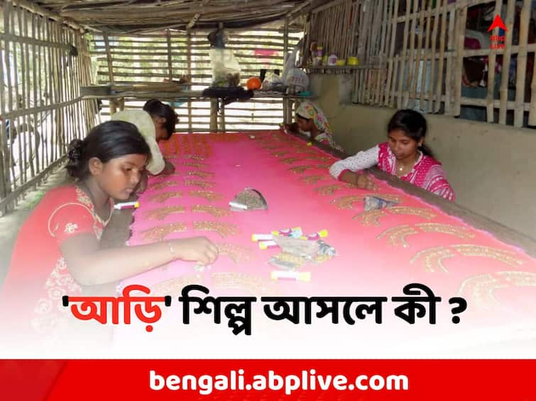 North 24 Parganas News:  Cloth Handicrafts of Gobindapur almost extinct due to lack of dividend North 24 Parganas News: নকশার অপেক্ষায় সেলাইয়ের সূচ, লভ্যাংশের অভাবে পট বদল বসিরহাটের 'আড়ি' শিল্পীদের