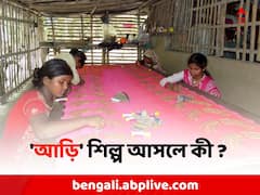 নকশার অপেক্ষায় সেলাইয়ের সূচ, লভ্যাংশের অভাবে পট বদল বসিরহাটের 'আড়ি' শিল্পীদের