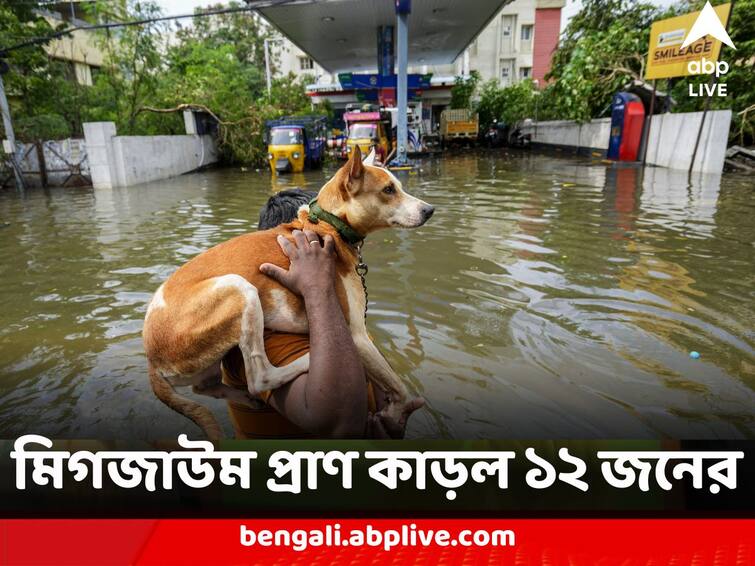 Cyclone Michaung 110 km severe windfall at landfall several area flooded 12 people dead Cyclone Michaung : মিগজাউম প্রাণ কাড়ল ১২ জনের, বিপন্ন জনজীবন, ১১০ কিলোমিটার বেগে ল্যান্ডফল ঘূর্ণিঝড়ের