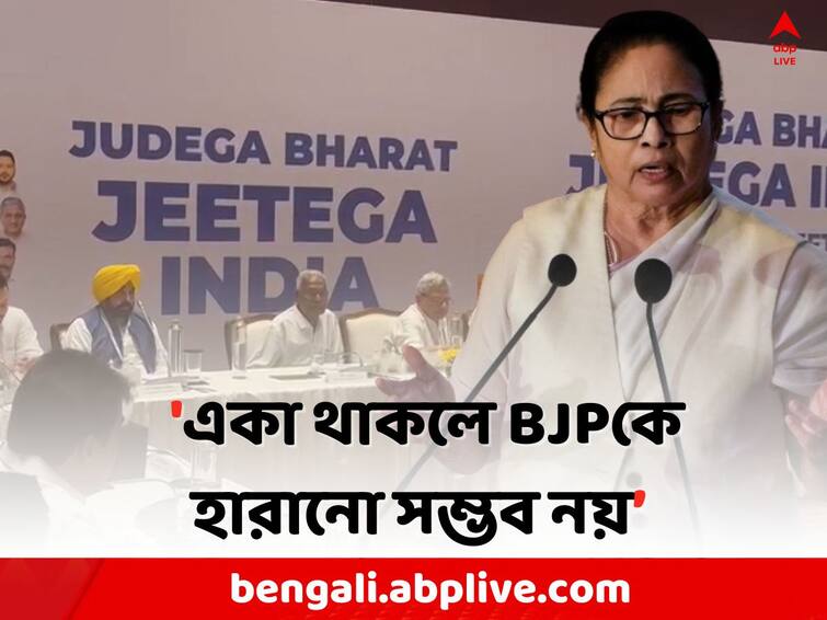 Mamata Banerjee gives reaction on I.N.D.I.A alliance Mamata Banerjee: 'I.N.D.I.A'-কে আরও জোরদার করার বার্তা মমতার