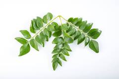 Curry Leaves : अनोशेपोटी कडीपत्त्याची पानं खाऊन पाहा, भन्नाट फायदे