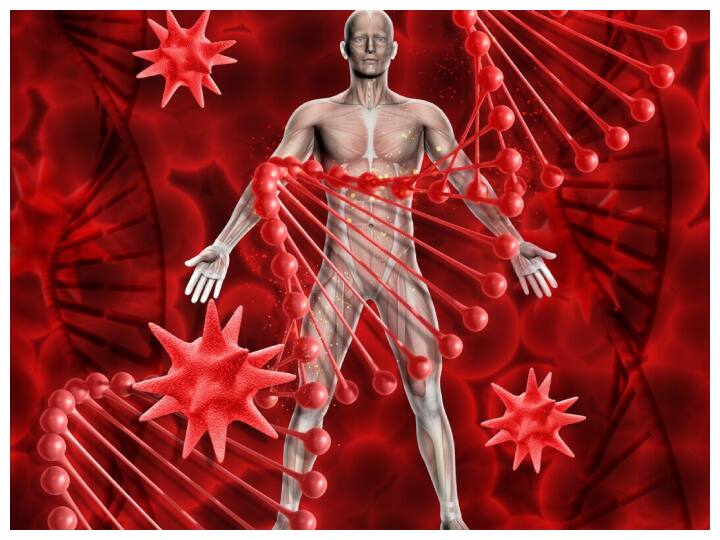 हीमोग्लोबिन एक ऐसा प्रोटीन होता है जो हमारे शरीर की सभी कोशिकाओं तक ऑक्सीजन पहुंचाता है. इसका स्तर कम होना गंभीर स्वास्थ्य समस्याओं का कारण या संकेत हो सकता है.