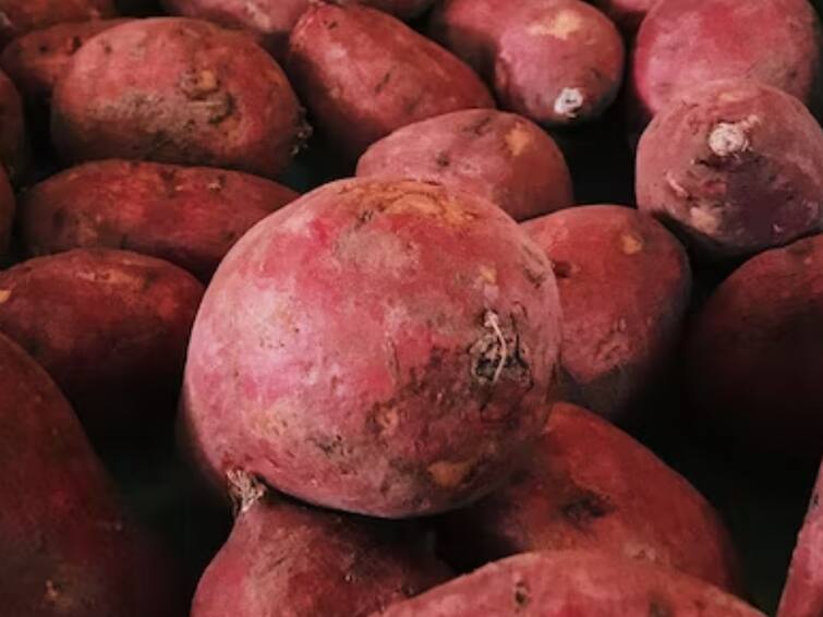 Sweet potato to protect hair and skin health Sweet Potato: தலைமுடி, சருமம்.. மேஜிக் நடக்கணுமா? சக்கரவள்ளி கிழங்கில் இவ்வளவு நன்மைகள் இருக்கா?